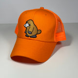 ROCKY PLATYPUS Baseball Cap